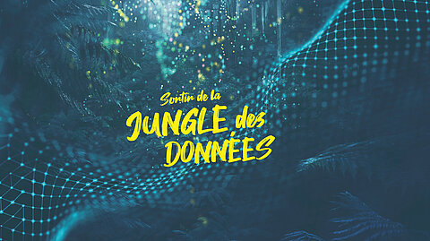 Sortir de la jungle des données Sortir de la jungle des données