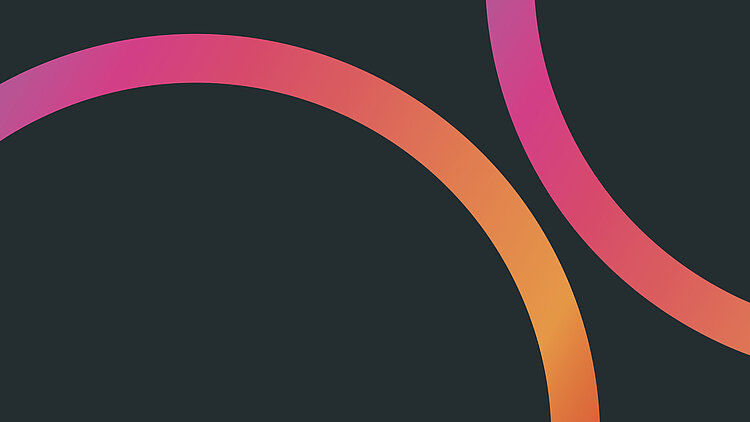 VIEW Story - VISUS